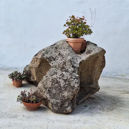 度假居 Casa Corte Manna Irgoli